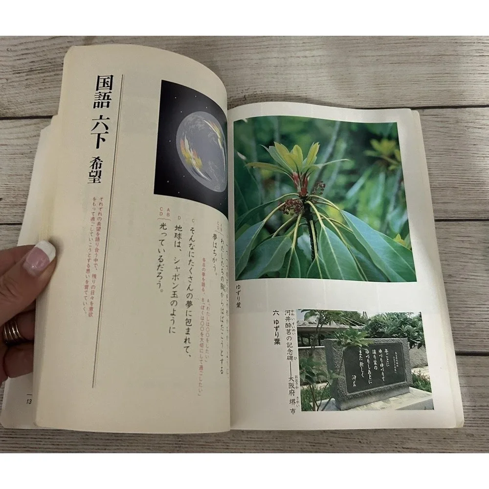 Japanese Old Textbook Kokugo 6 Shimo Hope Heisei Elementary School  TubB7